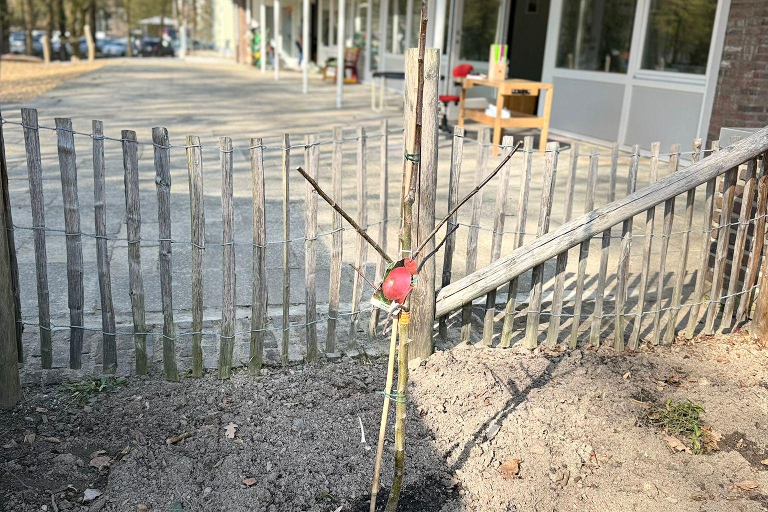 Gartenzwerge in Aktion 2