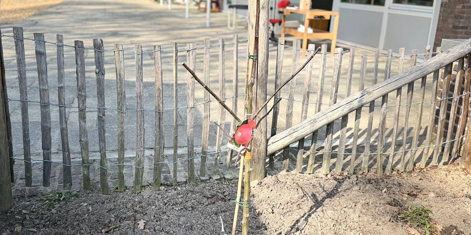 Gartenzwerge in Aktion 2